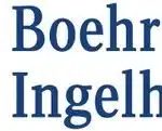 BI Logo