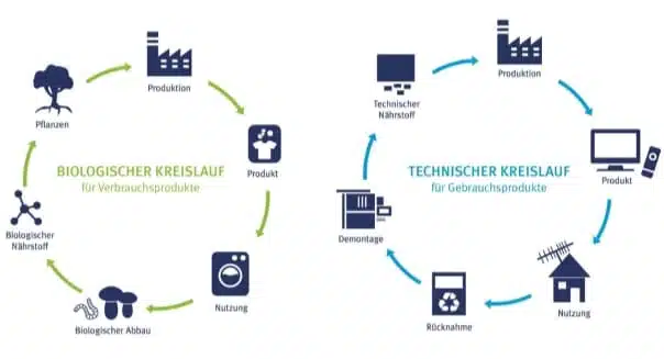 Cradle-to-Cradle: EPEA wird Teil von Drees & Sommer