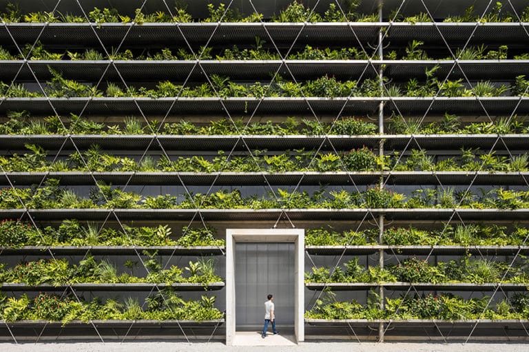 Grüne Fassade für ein besseres Klima
