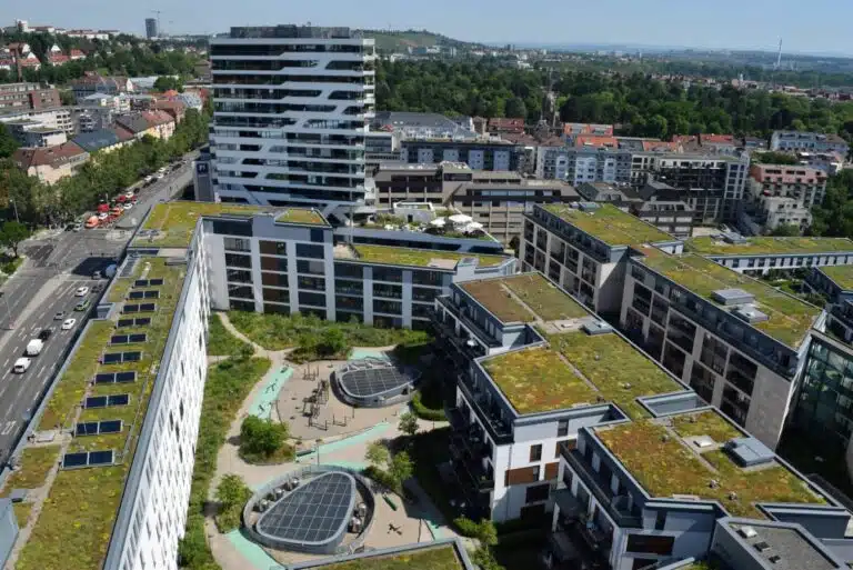 Bundesverband GebäudeGrün bezieht Stellung