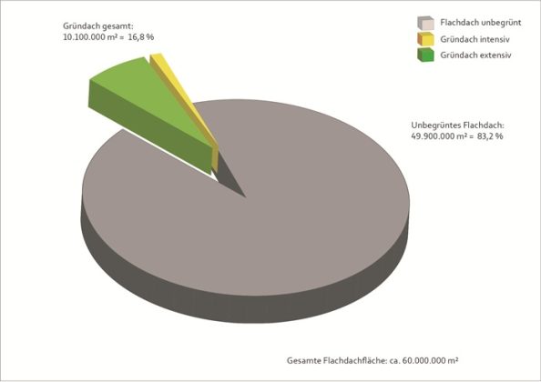 BuGG-Marktreport 2024: Gebäudebegrünung immer wichtiger