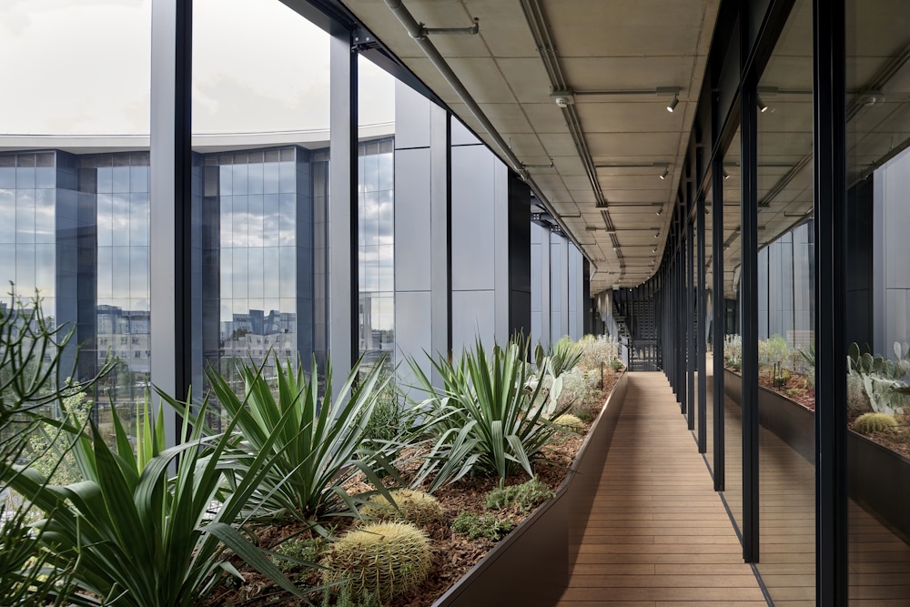 Blick auf das bioklimatische Gewächshaus mit verschiedenen Kakteenarten im Inneren des Gebäudes.