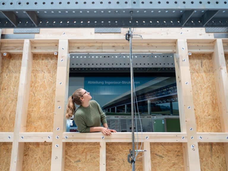 Statische Berechnung von Holzrahmenbauweise mit Fenstern
