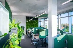 Bürofläche im biophilen Design