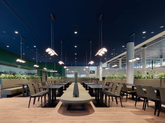Modern, airy dining area with long rows of tables and chairs, a central curved bench, blue ceiling, and hanging pendant lights.