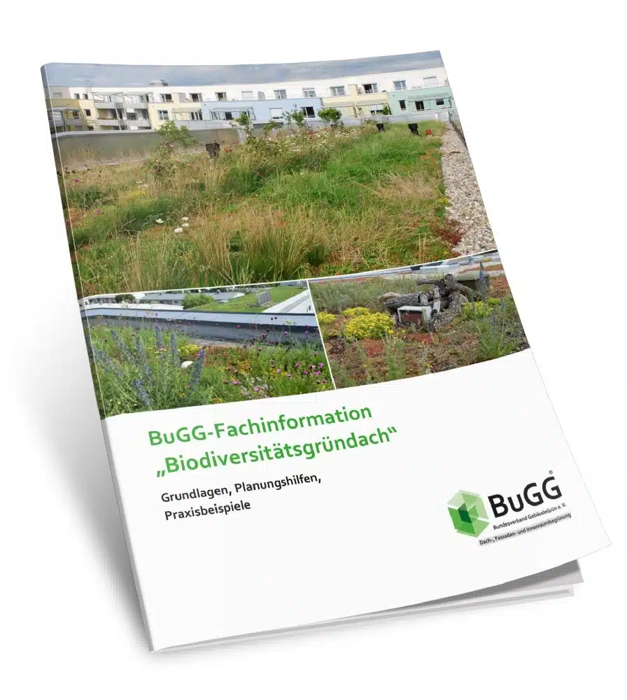 Bundesverband GebäudeGrün e.V.: Biodiversitätsgründach